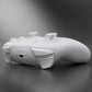 eXtremeRate DIY Replacement Full Set Shells with Buttons for Nintendo Switch 2 Pro Controller - White